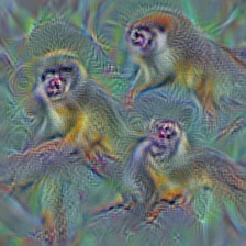 n02493509 titi, titi monkey